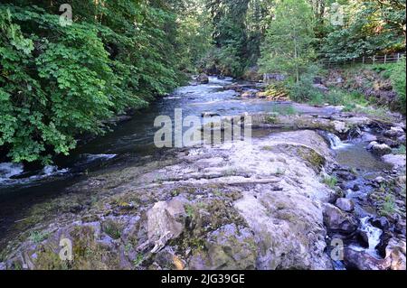 Die Tumwater Falls sind eine Reihe von Kaskaden am Deschutes River in Tumwater, Washington, USA. Stockfoto