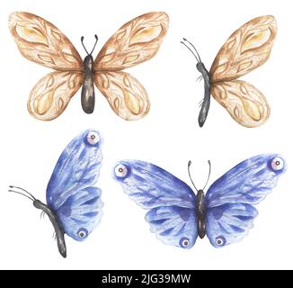 Zartes beige und blaues Schmetterling Cliparts Set, Aquarell Insekten Illustration, Schmetterlinge Clip Art, Hochzeitseinladung, Logo Design, Baby Dusche Auto Stockfoto