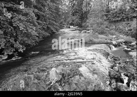 Die Tumwater Falls sind eine Reihe von Kaskaden am Deschutes River in Tumwater, Washington, USA. Stockfoto