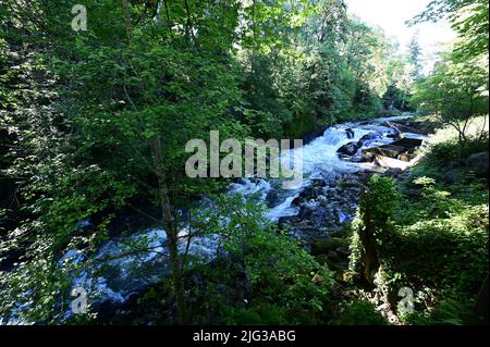 Die Tumwater Falls sind eine Reihe von Kaskaden am Deschutes River in Tumwater, Washington, USA. Stockfoto