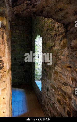 Mittelalterliches Schloss Trim in Trim, Irland. Stockfoto