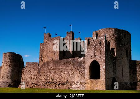 Mittelalterliches Schloss Trim in Trim, Irland. Stockfoto