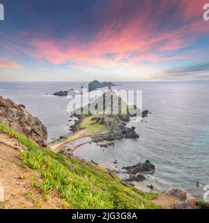 Sonnenuntergang über dem beliebten Touristenziel Torra di a Parata mit genuesischem Turm und Archipel der Sanguinaires Inseln im Hintergrund. Lage: Corse-du Stockfoto