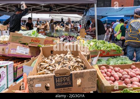 Boston, MA, USA, 11. Juni 2022: Nahaufnahme von Gemüse einschließlich Pilzen im Haymarket - dem kultigen Produktmarkt in der Innenstadt. Stockfoto