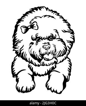 Bichon Frise Hund schwarz Kontur Porträt. Hundekopf in Vorderansicht Vektordarstellung isoliert auf Weiß. Für Dekor, Design, Druck, Poster, Postkarte, sti Stock Vektor