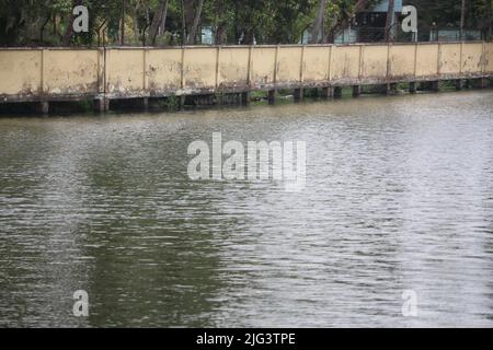 Der Wind weht aus dem Wasser des Teiches. Stockfoto