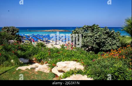 Einer der schönsten Sandstrände in Zypern und Europa ist der Fig Tree Bay Strand (Protaras Region). Garten mit orangen Blüten von campsis Stockfoto