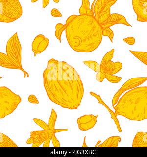 Gravur Zitronen nahtloses Muster. Vintage Hintergrund mit ganzer Zitrone, geschnitten, halb, Blatt, Blumen und Samen in handgezeichneter Art. Textur im Zitrusmuster Stock Vektor