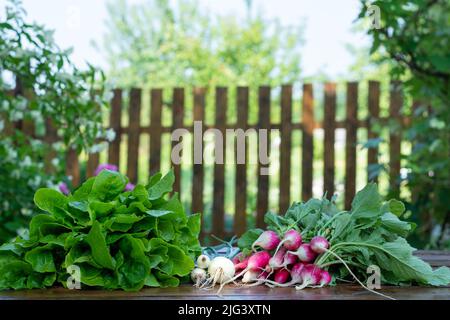 Frisches Gemüse und Kräuter auf Holz Hintergrund. Rohkost Zutaten. Country-Stil Bild Stockfoto