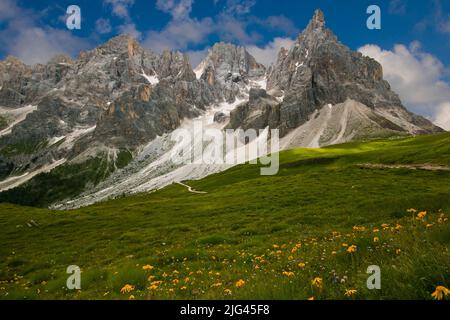 Panoramablick auf das majestätische Massiv von Pale di San Martino, Passo Rolle, Italienische Dolomiten Italien Europa Stockfoto