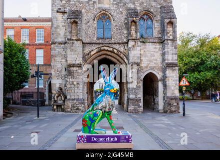 „Hero Hare“, eine Skulptur von Jenny Leonard in den Hasen des Hampshire Summer Public Art Trail vom Westgate Museum in High Street, Winchester Stockfoto