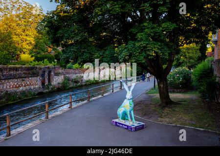 „Chalk Stream River Itchen“, eine Skulptur von Wendy Bramall in den Hasen des Hampshire Summer Public Art Trail Event in den Wehren, Winchester Stockfoto