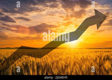 Das Konzept der steigenden Preise für Mehl und Weizen. Nahrungsmittelkrise und Hunger in der Welt. Stockfoto