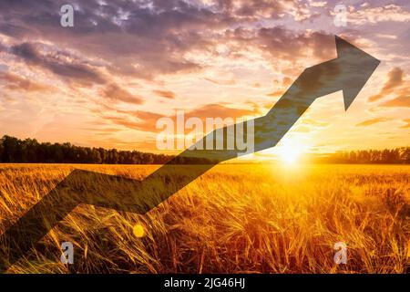 Das Konzept der steigenden Preise für Mehl und Weizen. Nahrungsmittelkrise und Hunger in der Welt. Stockfoto