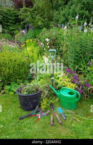 Englischer Landgarten Anfang Juli. Eine Auswahl an gut verwendeten Werkzeugen neben den Grenzen voller verschiedener Pflanzen. Stockfoto