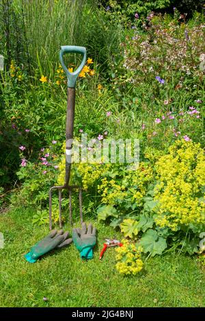 Englischer Landgarten Anfang Juli. Eine Auswahl an gut verwendeten Werkzeugen neben den Grenzen voller verschiedener Pflanzen. Stockfoto