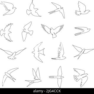 Durchgehende Linienvögel. Fliegende Schwalbe, Tauben und abstrakter Vogel mit ausgestreckten Flügeln Vektor-Skizze-Illustrationsset Stock Vektor