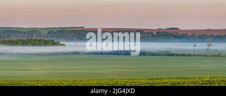 Landschaftsansicht von nebligen Feldern am Morgen in der Landschaft der Ukraine Stockfoto