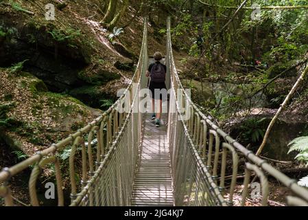 Porträt einer Frau an einer hölzernen Hängebrücke über ein kleines Bachtal im Wald, Kordel, Belgien Stockfoto