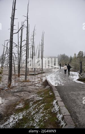 Yellowstone-Nationalpark, USA. 5/21-24/2022. Berylquelle ist eine heiße Quelle am Straßenrand im Gibbon Geyser Basin. Leicht zu Fuß erreichbar. Groß überhitzt Stockfoto