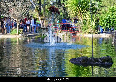 Touristen besuchen einen japanischen Garten bei einem Kirschblütenfest im Inneren von Brasilien, Panoramafoto, Vordergrundsee, Hintergrundmenschen und t Stockfoto