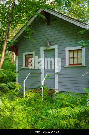 Kleines Holzhaus oder Hütte in einem Wald in Kanada. Alte Hütte mit im Wald. Kleines Holzhaus zum Campen unter Bäumen. Reisefoto, niemand, Stockfoto