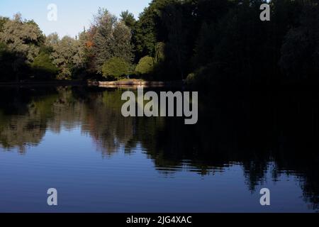 See im Park. Teich in der Stadt. Wasseroberfläche. Schatten auf dem See. Stockfoto