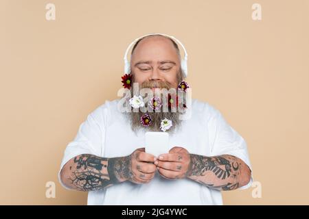 Plus Size Mann mit dekoriertem Bart und Smartphone Musik in Kopfhörer isoliert auf beige hören Stockfoto