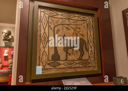 Mosaik „The Wolf and Twins“, römische Kacheln aus Aldborough (C300-400AD), ausgestellt in Großbritannien. Stockfoto