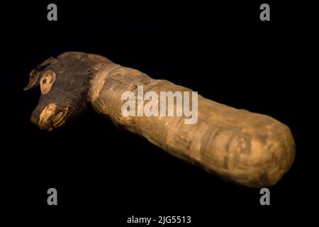 Leiden, Niederlande - 04. JAN 2020: Alte Mumie eines Hundes aus dem alten ägypten bei der Ausstellung Gods of Egypt. Hundemama. Stockfoto