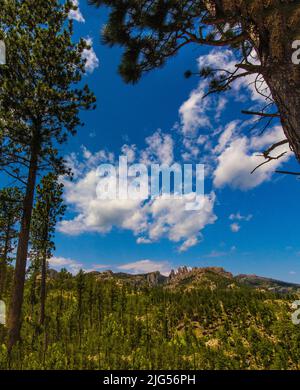 Blick vom Needles Highway im Sommer, Custer State Park, South Dakota Stockfoto