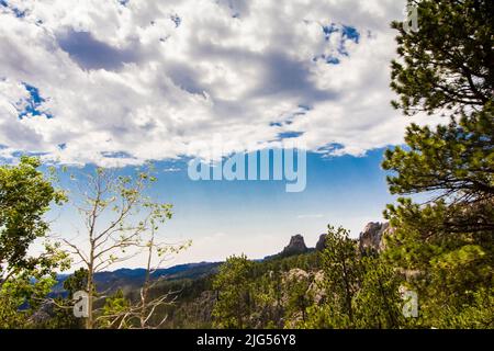 Blick vom Needles Highway im Sommer, Custer State Park, South Dakota Stockfoto