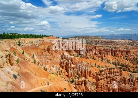 Utah Red Rock Nationalpark Brice Canyon. Felsformationen, Hoodoos, Wüste und Waldlandschaft. Stockfoto