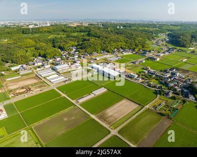 Luftaufnahme von Feldern und Bauernhöfen neben der kleinen Gemeinde an sonnigen Tagen Stockfoto