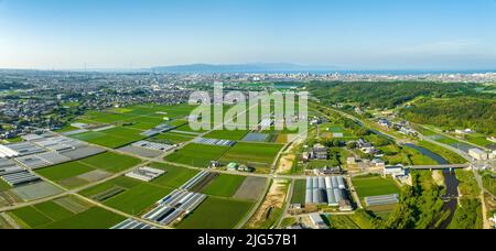 Panorama-Luftaufnahme von bepflanzten Feldern und Gewächshäusern am Rande der Stadt Stockfoto