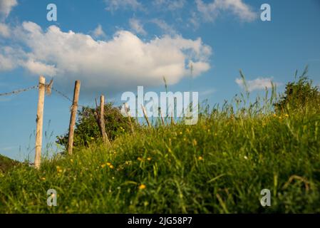 Blick auf den Hang des monte Nerone in der Region Marken in Italien Stockfoto