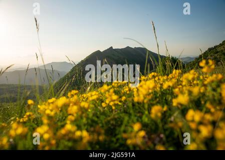 Blick auf den Hang des monte Nerone in der Region Marken in Italien Stockfoto
