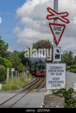 Der Schmalspurzug der Welsh Highland Railway nach Porthmadog nähert sich dem Bahnübergang in der Nähe von Caernarfon mit einem Warnschild in walisischer Sprache im Vordergrund. Stockfoto