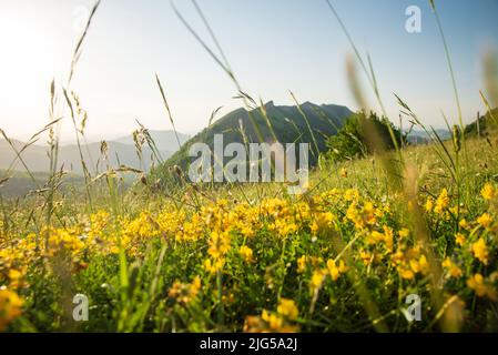 Blick auf den Hang des monte Nerone in der Region Marken in Italien Stockfoto