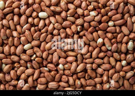 Rohe geschälte Erdnuss Hintergrund. Textur von getrockneten Erdnusskernen. Ganze organische Affenmutter ohne Schale. Arachis Hypogaea-Kerne für die diätetische Ernährung Stockfoto