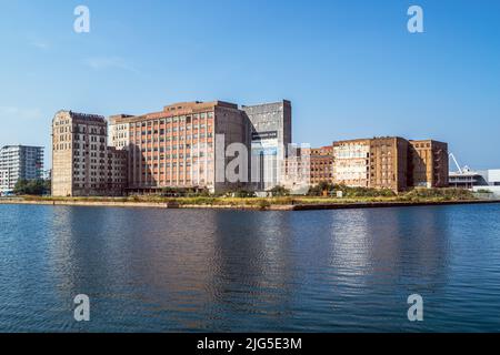 Blick über das Royal Victoria Dock auf die Millennium Mills, die verrohlte Getreidemühle in Silvertown, Newham, East London. Stockfoto