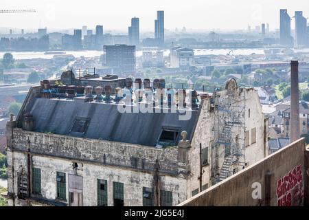 Blick von der Dachterrasse vom verrottenden Gebäude der Millennium Mills in Richtung Woolwich über die Themse in Silvertown, Newham, East London Stockfoto