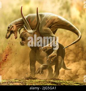 Juvenile T. rex gegen Triceratops Stockfoto