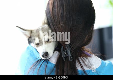 Tierarzt hält niedlichen schlafenden Husky Hund in den Armen Stockfoto