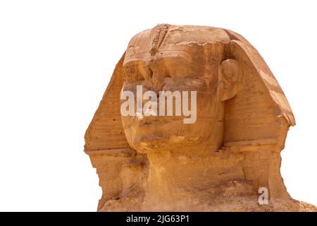 Nahaufnahme des Kopfes von Sphinx in Giza isoliert auf weißem Hintergrund Stockfoto