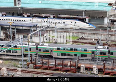 TOKIO, JAPAN - 7. Juli 2022: Blick von oben auf einen Zug der Tokaido-Hauptlinie, der am Bahnhof Tokio ankommt, mit einem Hochgeschwindigkeitszug auf einem Bahnsteig im Hintergrund. Stockfoto