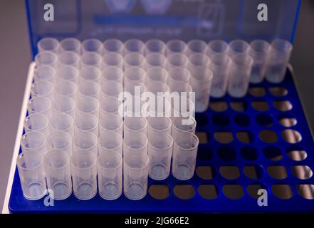 Eppendorf Röhrchen isoliert auf blauem Kunststoffgestell für Mikropipette. Stockfoto