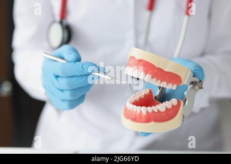 Zahnarzt zeigt Problembereiche in den Zähnen am Kiefermodell Stockfoto