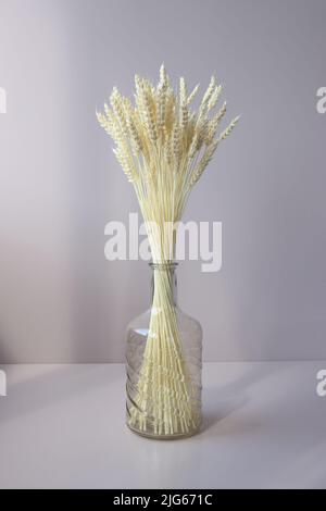 Bouquet von Weizenspikelets in transparenter Vase auf weißem Hintergrund Stockfoto