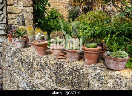 Blumentöpfe im Bourton House Gardens, Morton in Marsh. Marktstadt in den Cotswolds, Gloucestershire, England, großbritannien Stockfoto